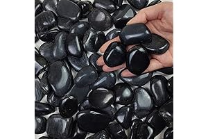 5 lbs Natural Polished Black Pebble Stones