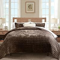 Vista 15 de RECYCO Juego de edredón de lujo de terciopelo tamaño Queen, juego de edredón de terciopelo ligero, juego de ropa de cama acolchada de tamaño grande