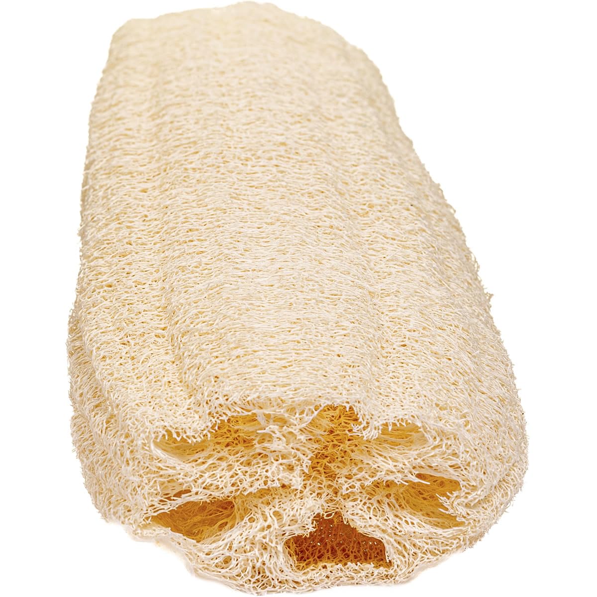 Raw Egyptian Luffa (loofah) by SeaSationals