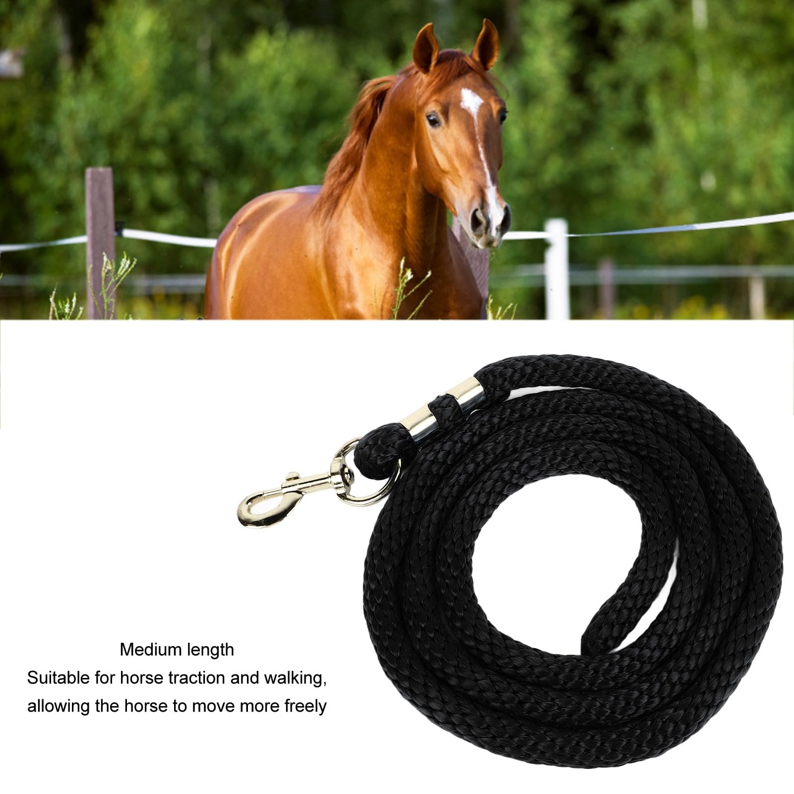 Airshi Horse Lunge Line, 6.6ft Heavy Duty Heavy Duty Horse Training Rope for Competition (Black)