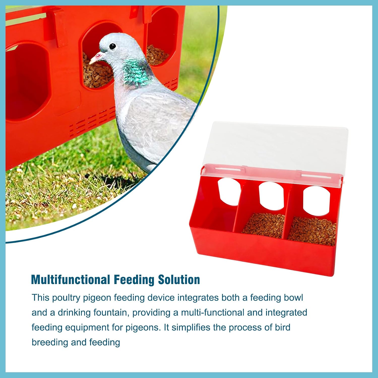 Hanging Pigeon Feeder Water Box Suitable for Quail Parrot Budgie and Other Birds (Two Sets, Three Holes)