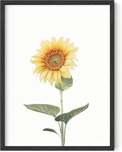 HAUS AND HUES Arte de pared de vaca de las montañas, impresión de toro de granja para decoración de pared (marco negro, 12 x 16)