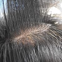 Vista 5 de Tupé para hombre, línea capilar natural, color gris, sistema de cabello humano real para hombres, postizo marrón con bucle en V para hombres, 8 x