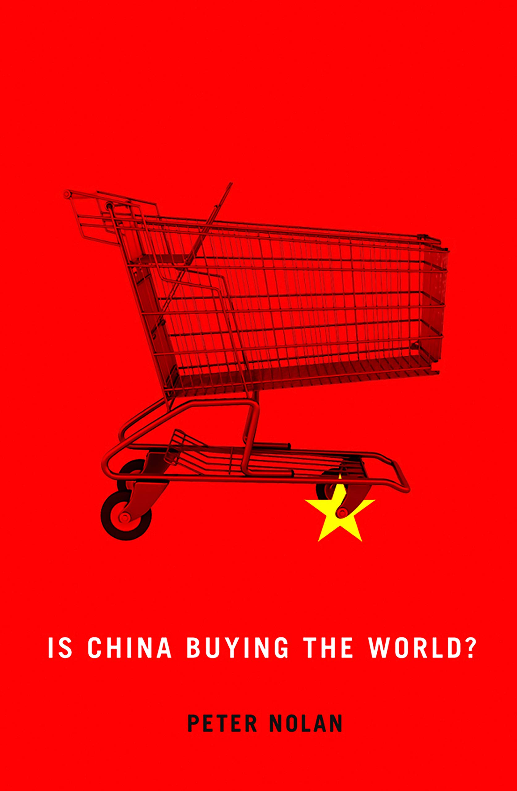Is China Buying the World by Peter Nolan PAPERBACK 9780745660790
