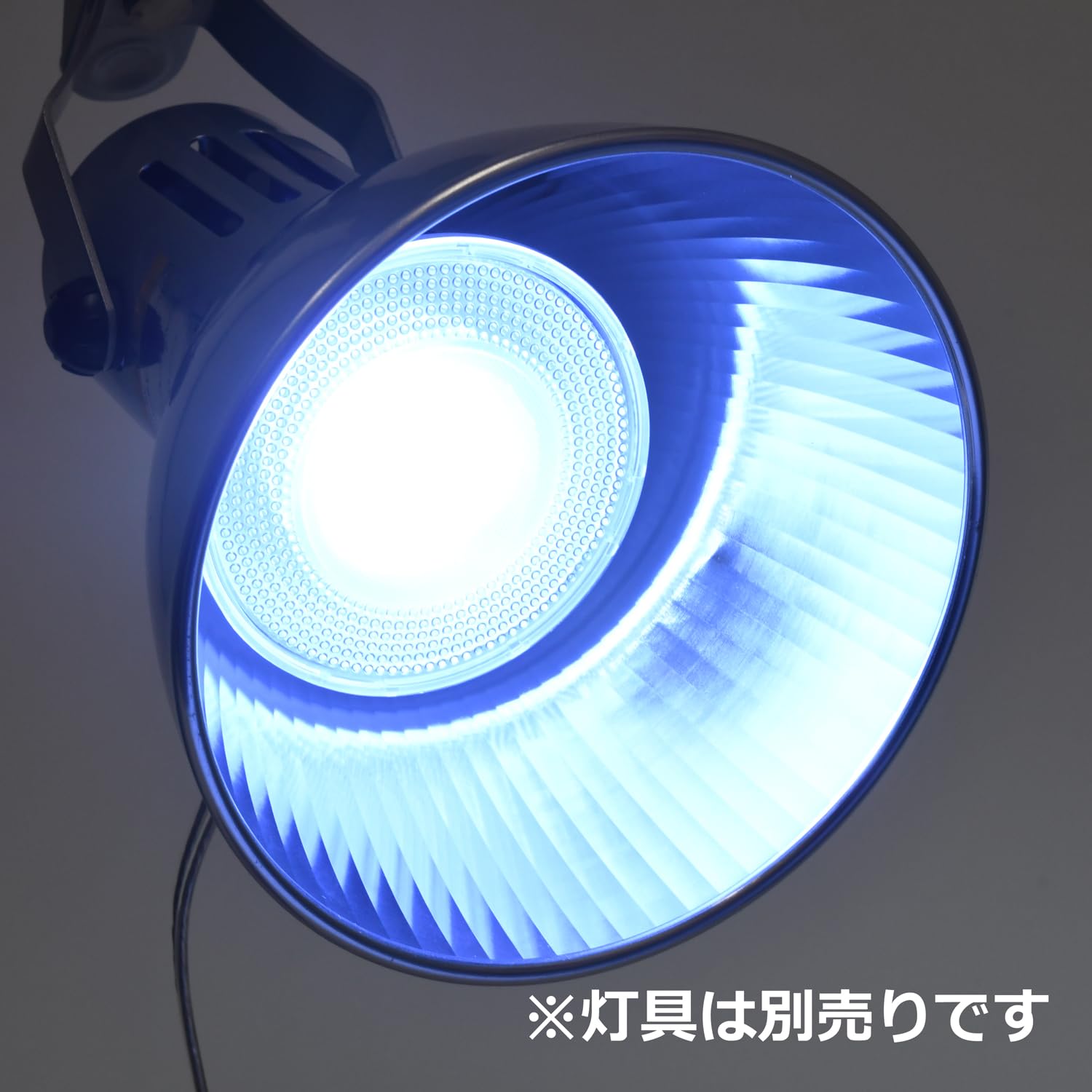 Amazon | RioCOB（リオコブ） LED 12W シャローブルー（海水魚&サンゴ