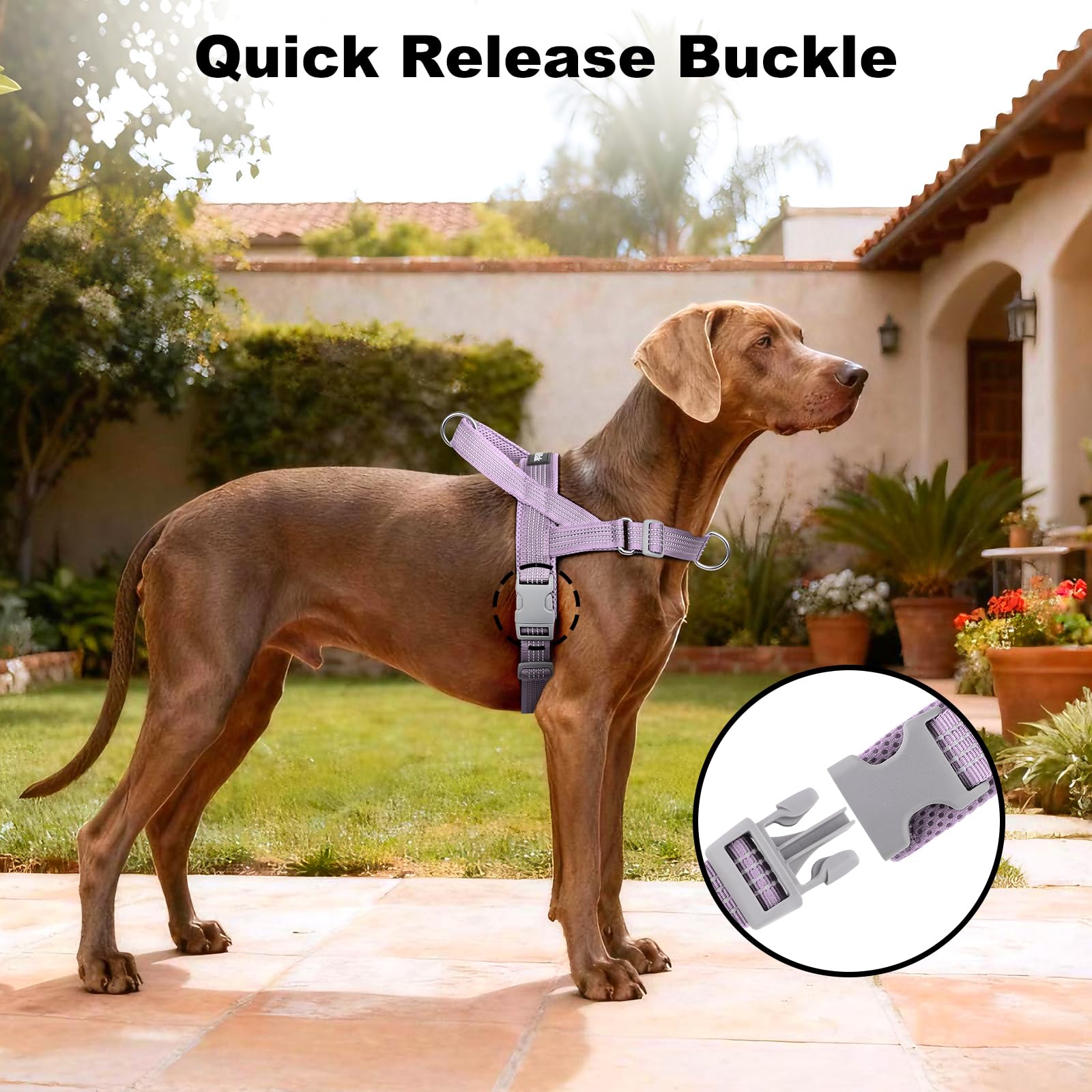 APakBak No Pull Dog Harness with Handle, Adjustable Soft Mesh Padded Reflective Walking Harness with Front Clip for Small Medium Large Dogs – Quick Fit No Escape for Training and Hiking (Purple, L) - image 6