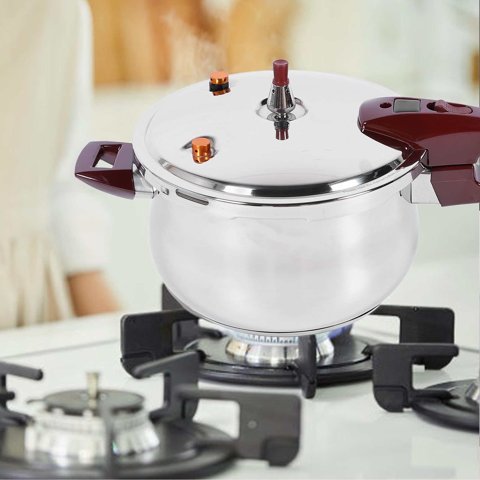 Smart Cooker, szybkowar, wolnowar, ryż, patelnia do podgrzewania, parowar i podgrzewacz do żywności, szczotkowana stal nierdzewna (-3113240051614)