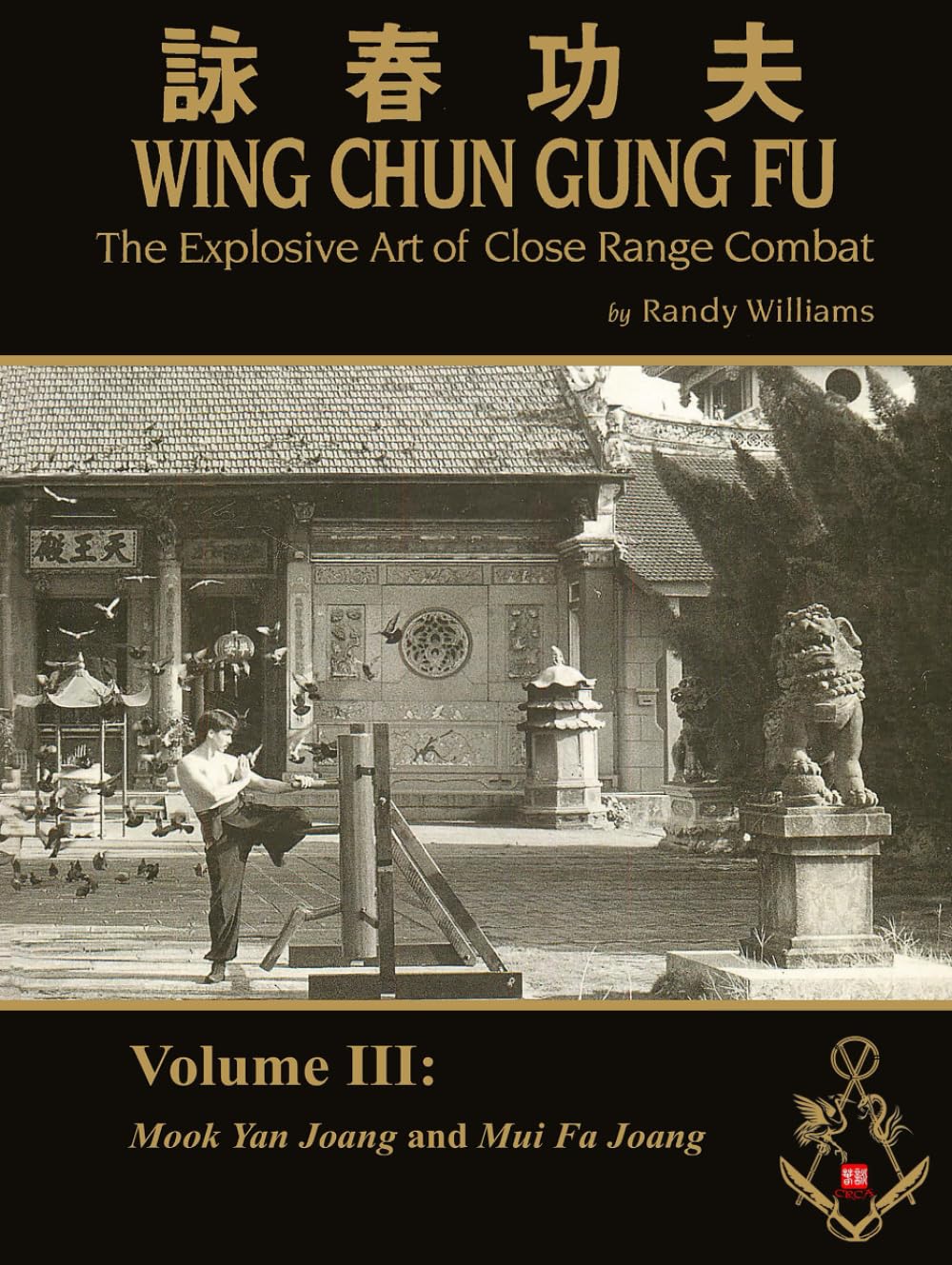 The Explosive Art of Close Range Combat Vol. 3: Mook Yan Joang and Mui Fa Joang by Randy Williams Wing Chun (Randy Williams: The Explosive Art of Close Range Combat Wing Chun)