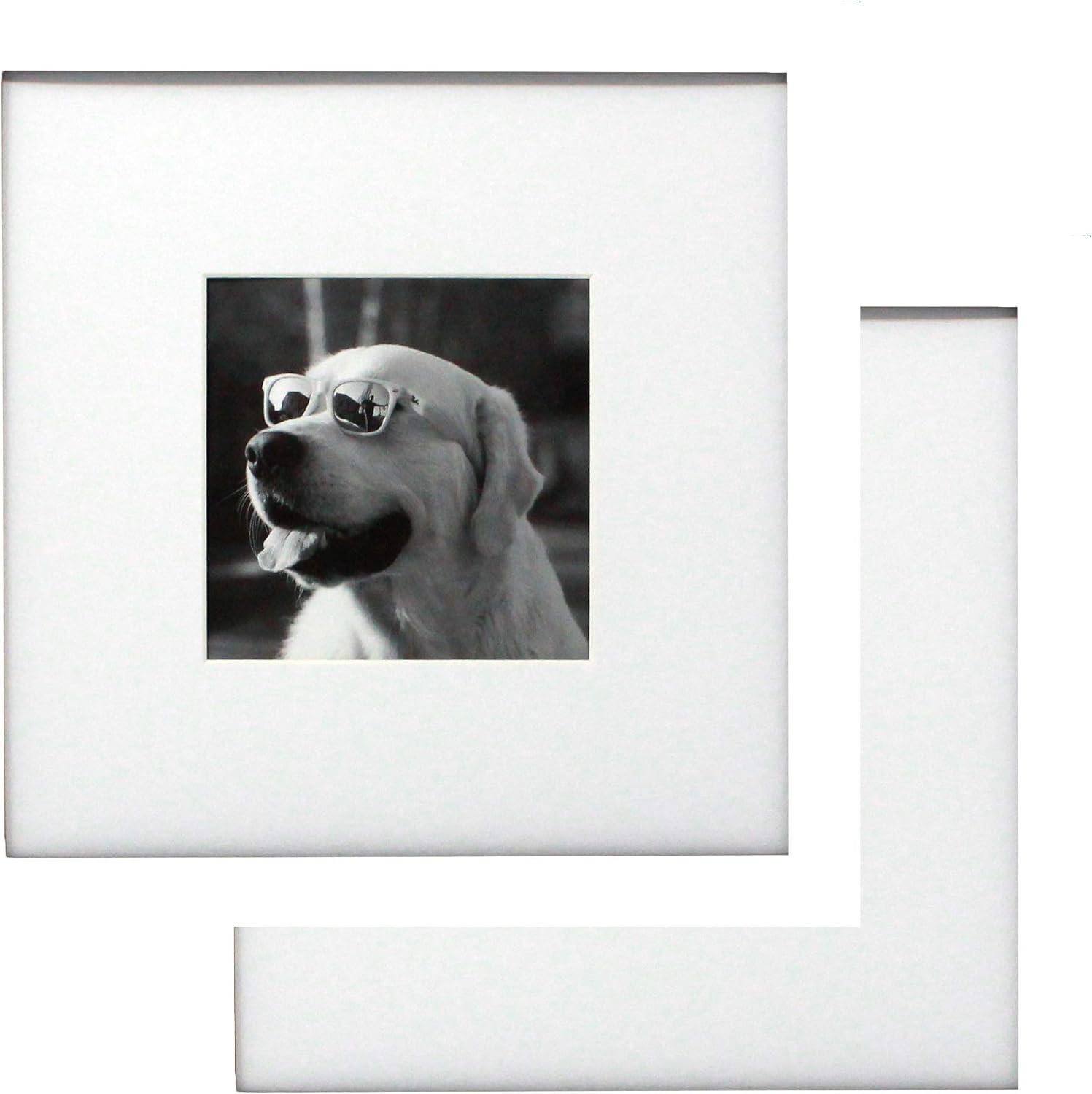10x10 White Gallery Picture Frame with Mat 2-Pack - Two Frames - Wide Molding - Includes Both Attached Hanging Hardware and Desktop Easel - Display Pictures 10 x 10 Inch
