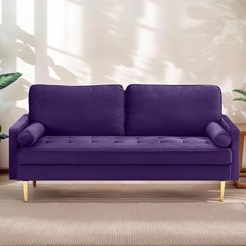 65" Love Seat Sofa, Velvet Small Sofa Small Couch for Bedroom Living Room, Bedroom, Loveseat with 2 Pillows, Gold Legs, Modern Tufted Seat Upholstered Seating for Office, Apartment Purple