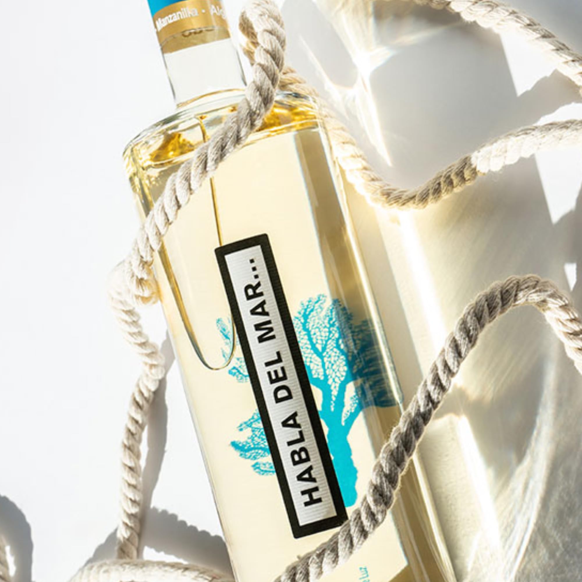 Habla del Mar - Vino Blanco Submarino | Fermentado a 15m de profundidad | Aromas marinos únicos | Mezcla de uvas atlánticas | Crianza sobre lías | 10,5% vol | Pack 6 Botellas 75cl
