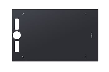 Amazon.com: Wacom Intuos Pro Large with smooth texture sheet