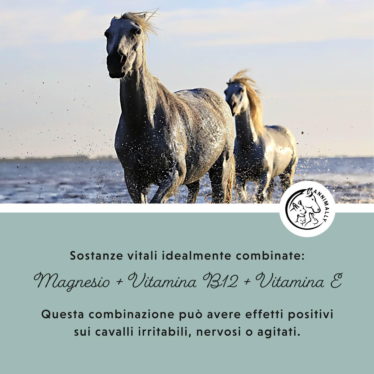 Annimally Pellet di Magnesio per Cavalli 1 kg - Acetato di Magnesio e Ossido di Magnesio per la Massima biodisponibilità