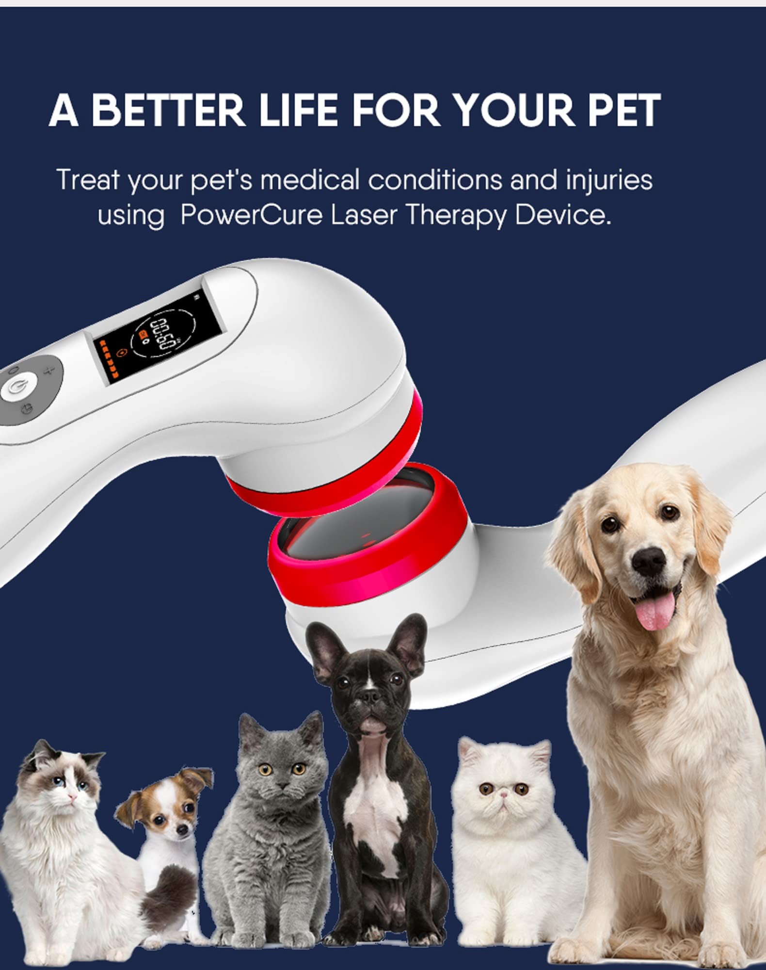 Kaltlaser Therapy Softlaser Lasertherapiegerät mit Schutzbrille Akupunktur Cold Low Level Laser Therapie Neu 2024 USB Edition