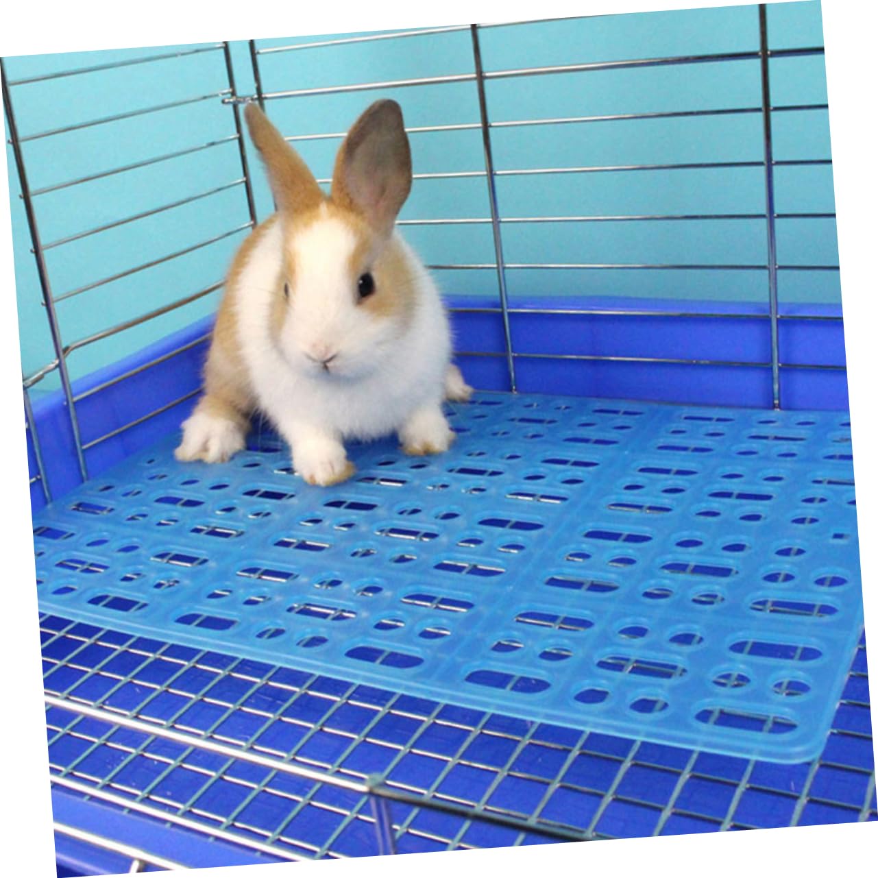 Happyyami -Pack Kaninchenkäfigmatte aus Abs mit Kunststofffüßen 6 Stück Pflegeleicht Pfotenschutz für Ratten und Hamster Hasenstall Zubehör Draußen