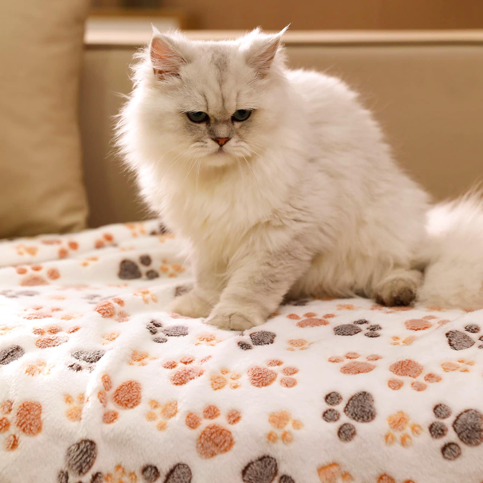 3 Coperte Per Cani/Gatti 40x60cm - Morbide Velluto, Stampa Zampe, Lavabili - Foto 12