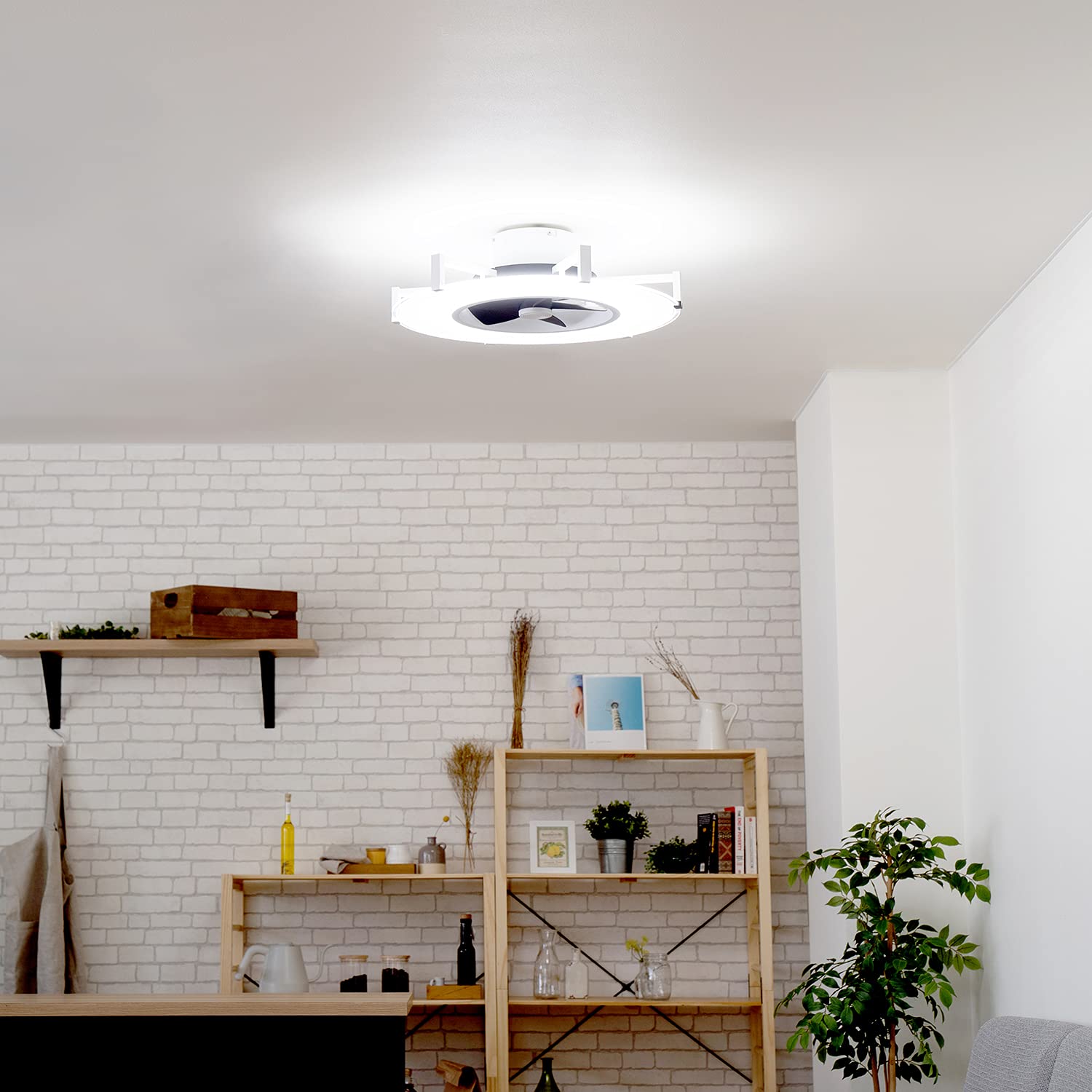 Amazon | JAVALO ELF ジャバロエルフ Modern Collection パネ