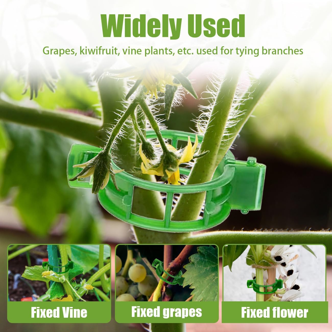 300 PCS Secured Plastic Plant Clip 2025 New Plant Support Clips Tomato Trellis Crop Clip for Plant Vegetables Fruit Flower (Green) image 4