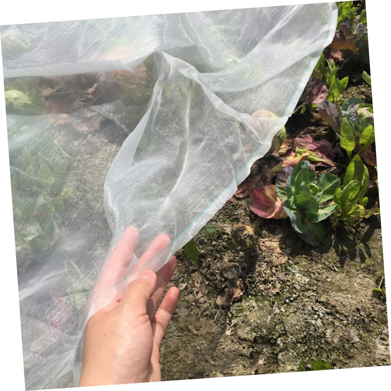 BESPORTBLE Red de para Protección Invernadero y en para Verduras de Frutas Fuerte Nailon Malla 40 Resistencia Jardinería Durante Días Fríos