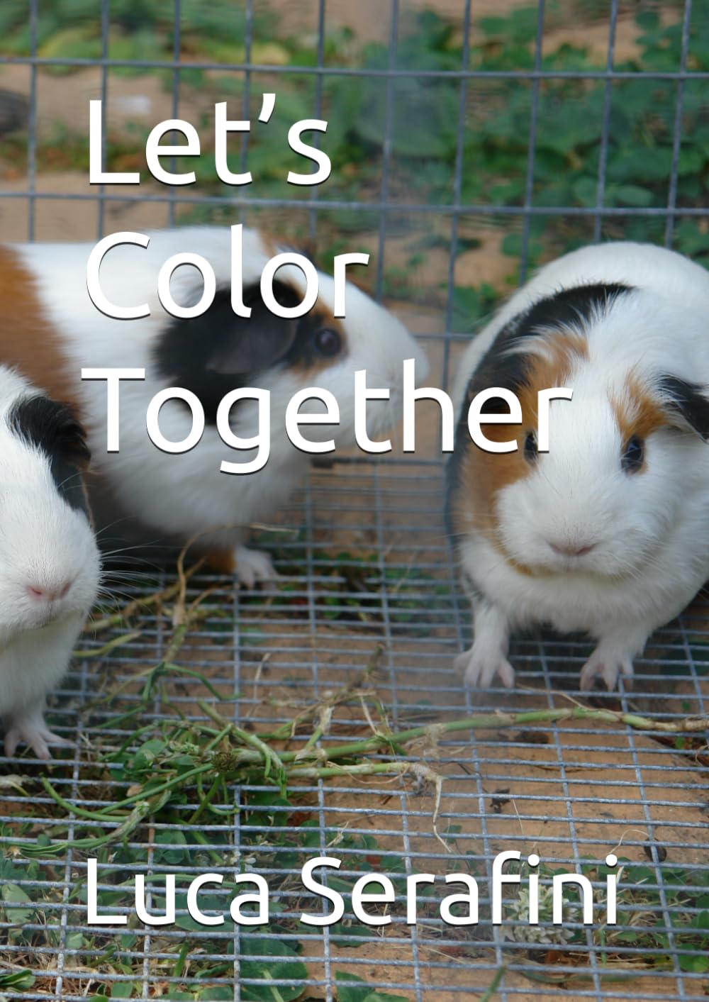 Let’s Color Together