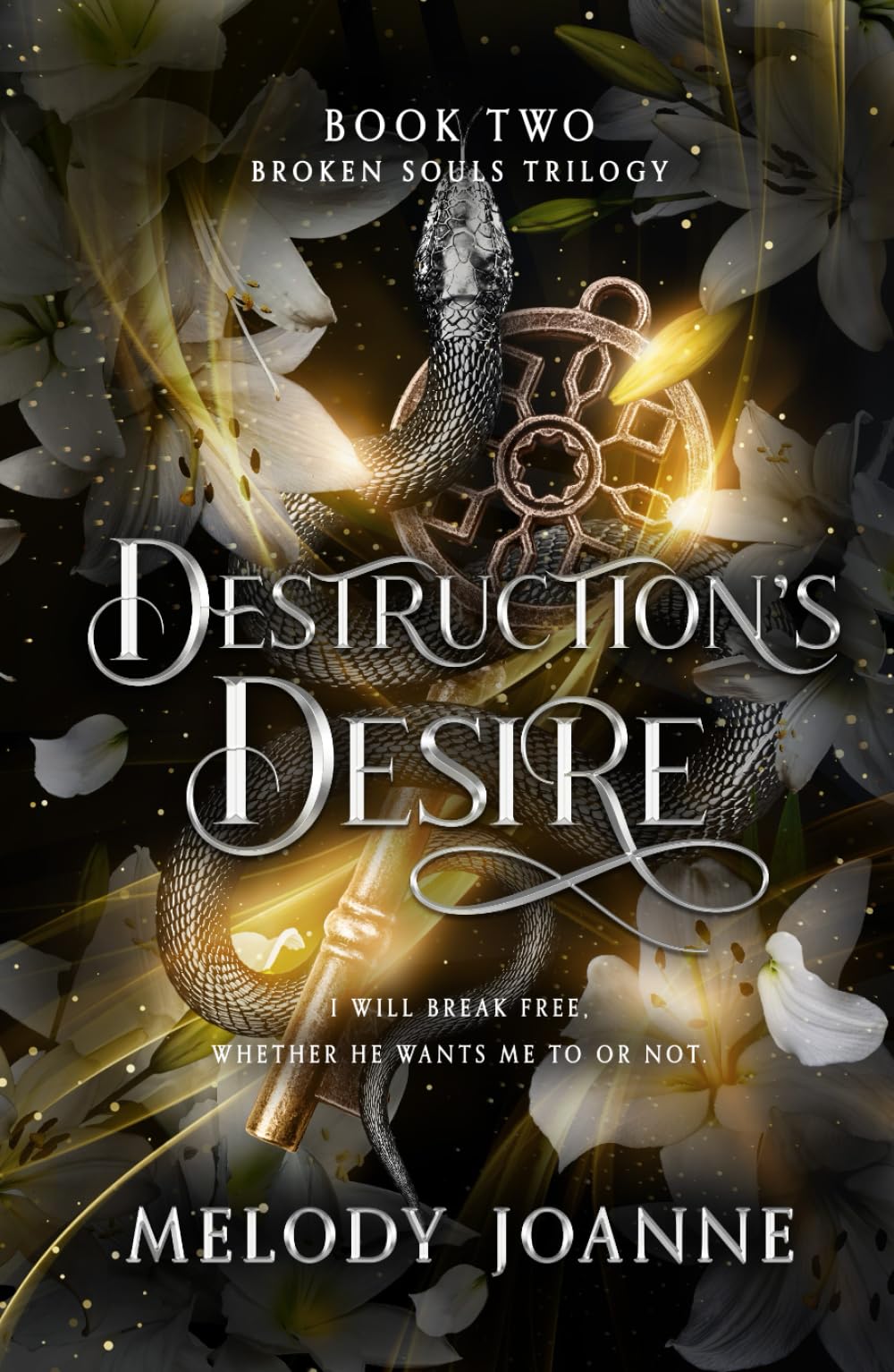 Destruction's Desire (Broken Souls Trilogy)