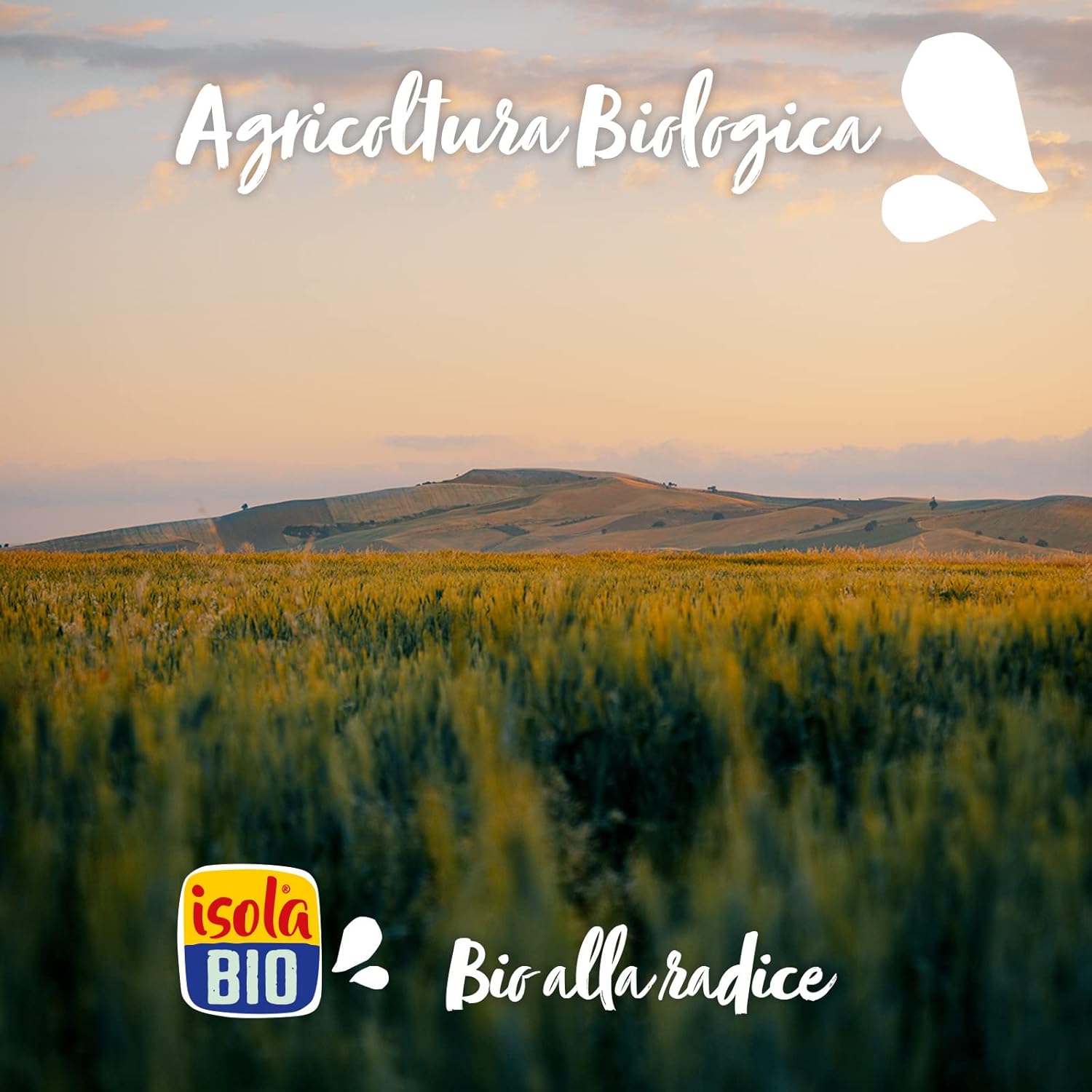 ISOLA BIO Hazelnut-Rice Beverage, 1000 ML