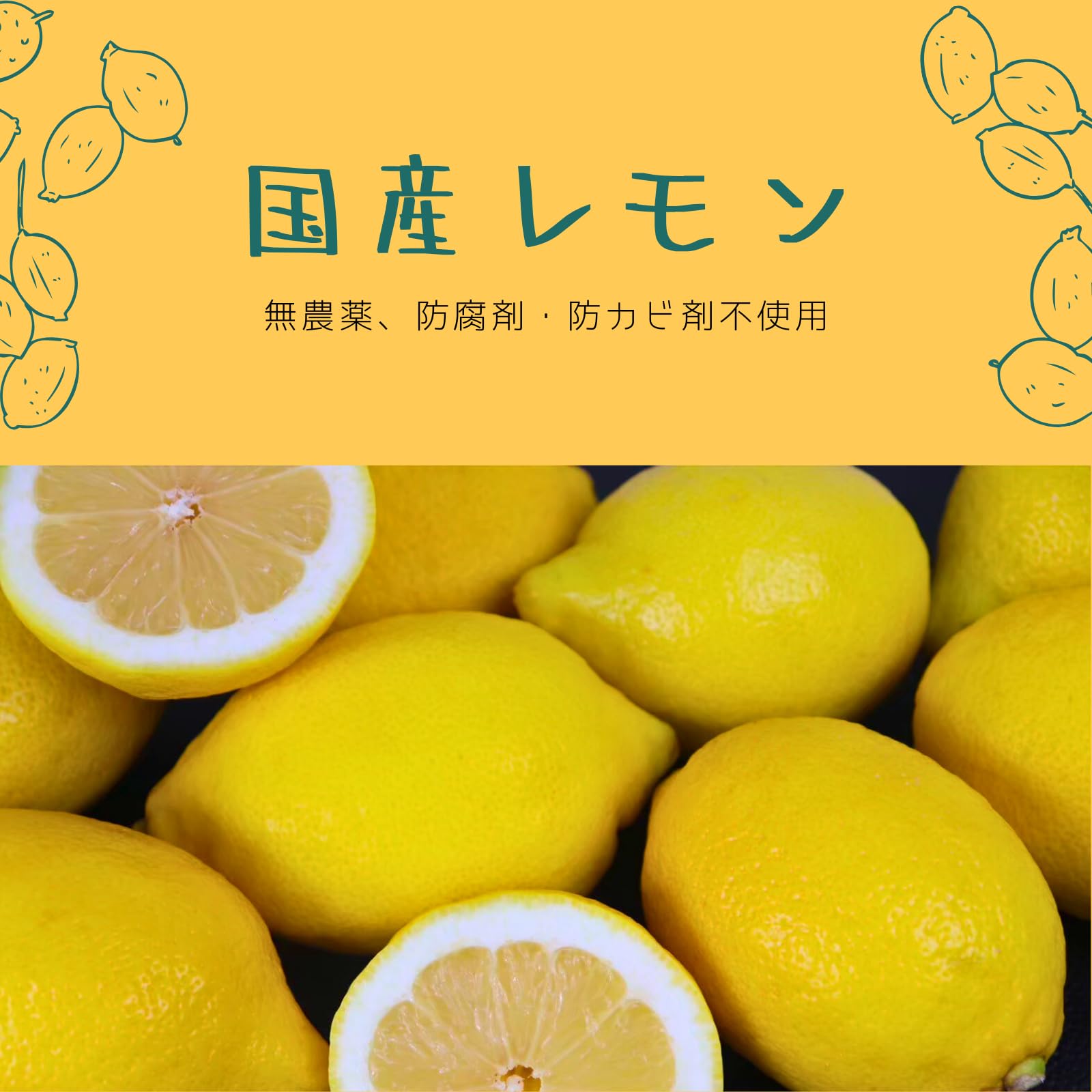 Amazon.co.jp: 【国産レモン】2kg 20個程 国産 S/M/Lサイズ 愛媛県産