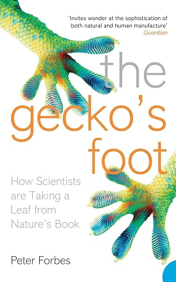 The Gecko's Foot: How Scientists are Taking a Leaf from Nature's Book