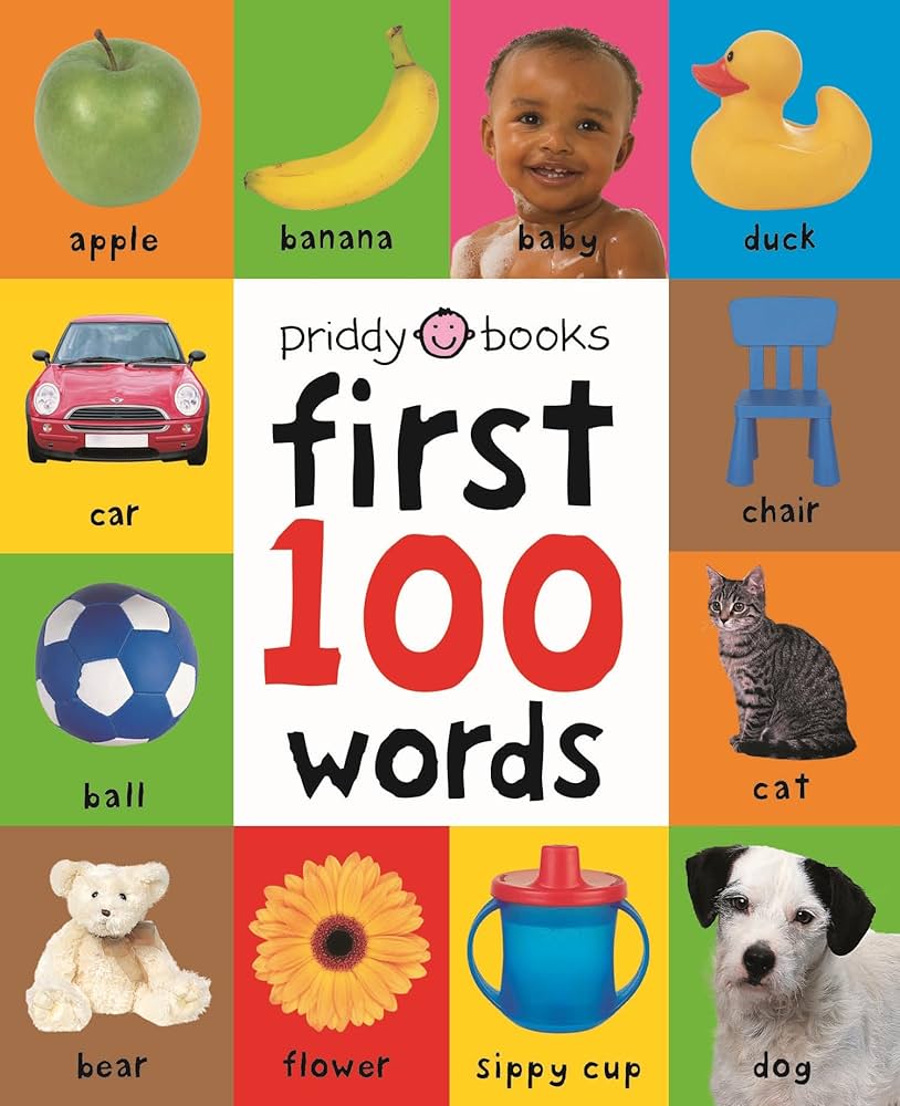 Amazon | FIRST 100 WORDS(BB) (First 100 Soft to Touch
