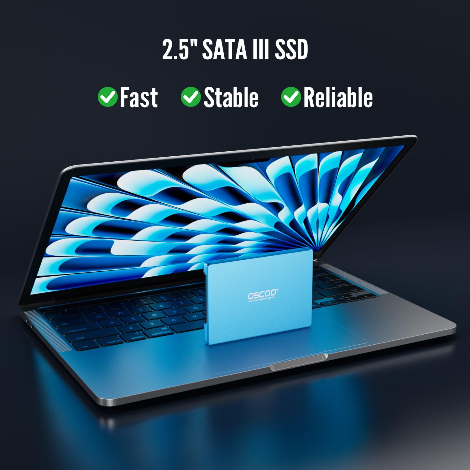 SATA SSD (OS001, 1TB)