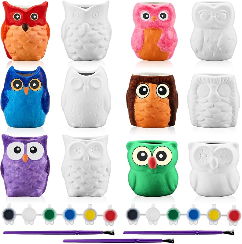 Tanlade 12 Set Paint Your Own Ceramic Planters Mini Owl Ceramic to Paint Succulent Pots 3 Inch Bisque Ceramics Unpainted with Drainage Hole Ready to Color Classroom Craft Project Activity
