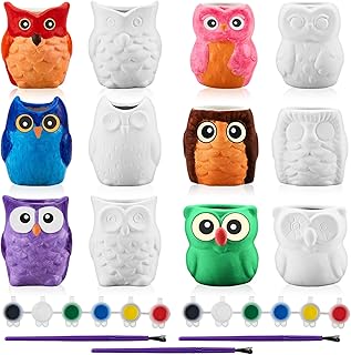 Tanlade 12 Set Paint Your Own Ceramic Planters Mini Owl Ceramic to Paint...