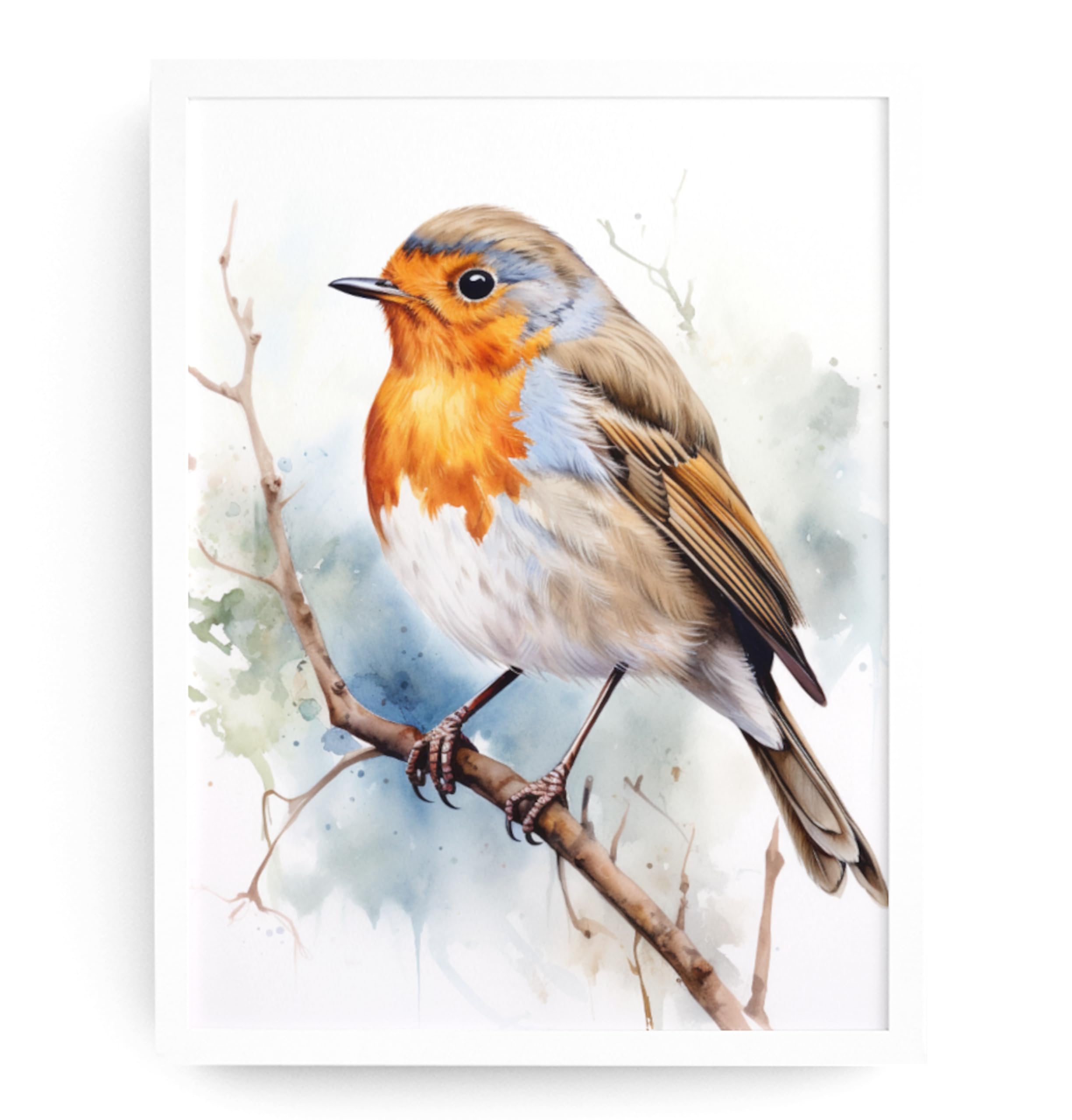 Amazon.com: Robin Wall Art Print - Robin Print Poster Unframed
