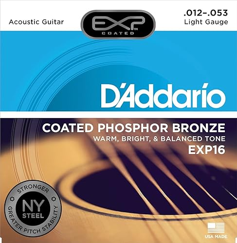 D Addario EXP16 mit Steel Phosphor Bronze Akustikgitarrensaiten beschichtet leicht 12-53 D Addario EXP16 mit Steel Phosphor Bronze Akustikgitarrensaiten beschichtet leicht 12-53