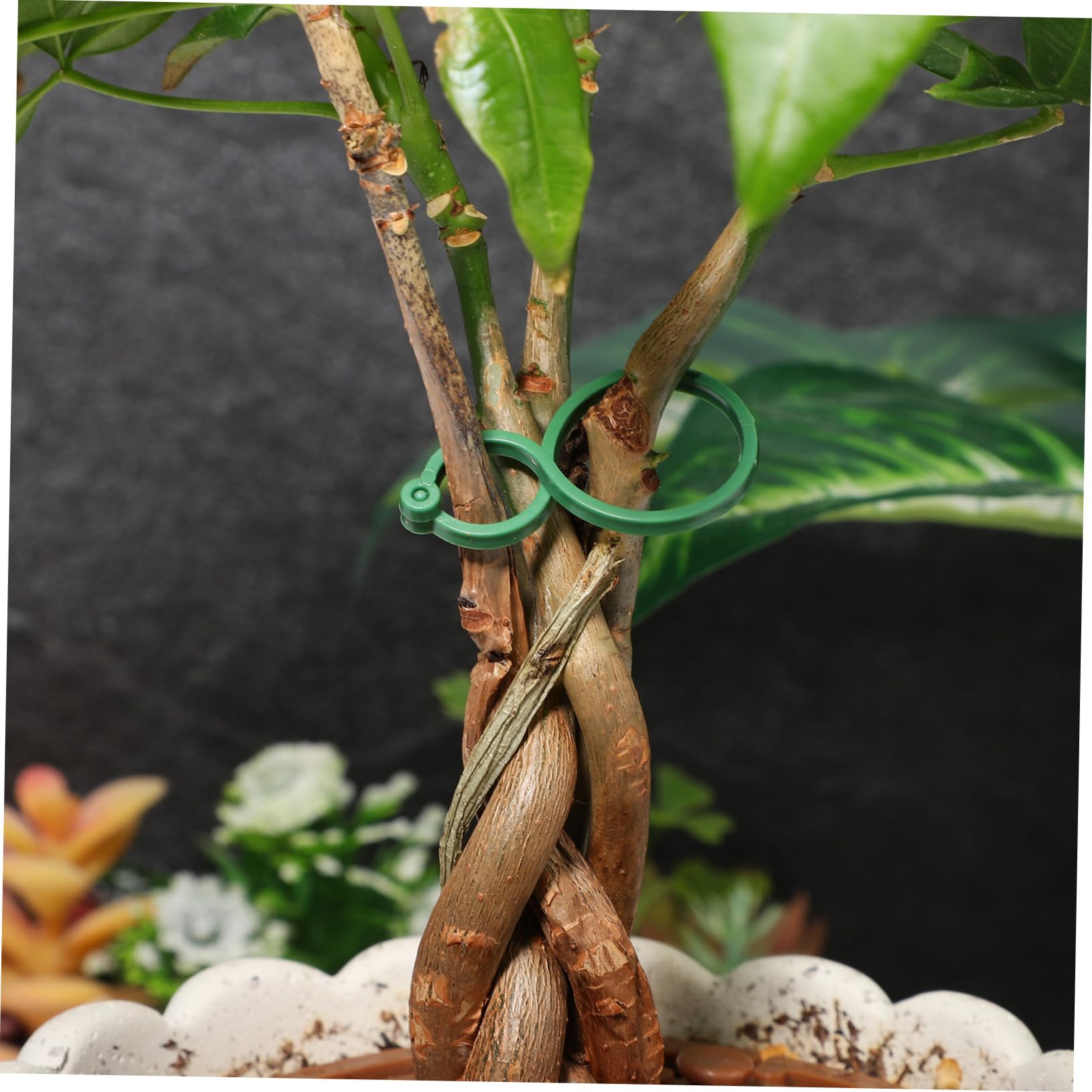 Amazon.co.jp: SEWOART 100個入り 緑色 プラ製 園芸用品 つる植物