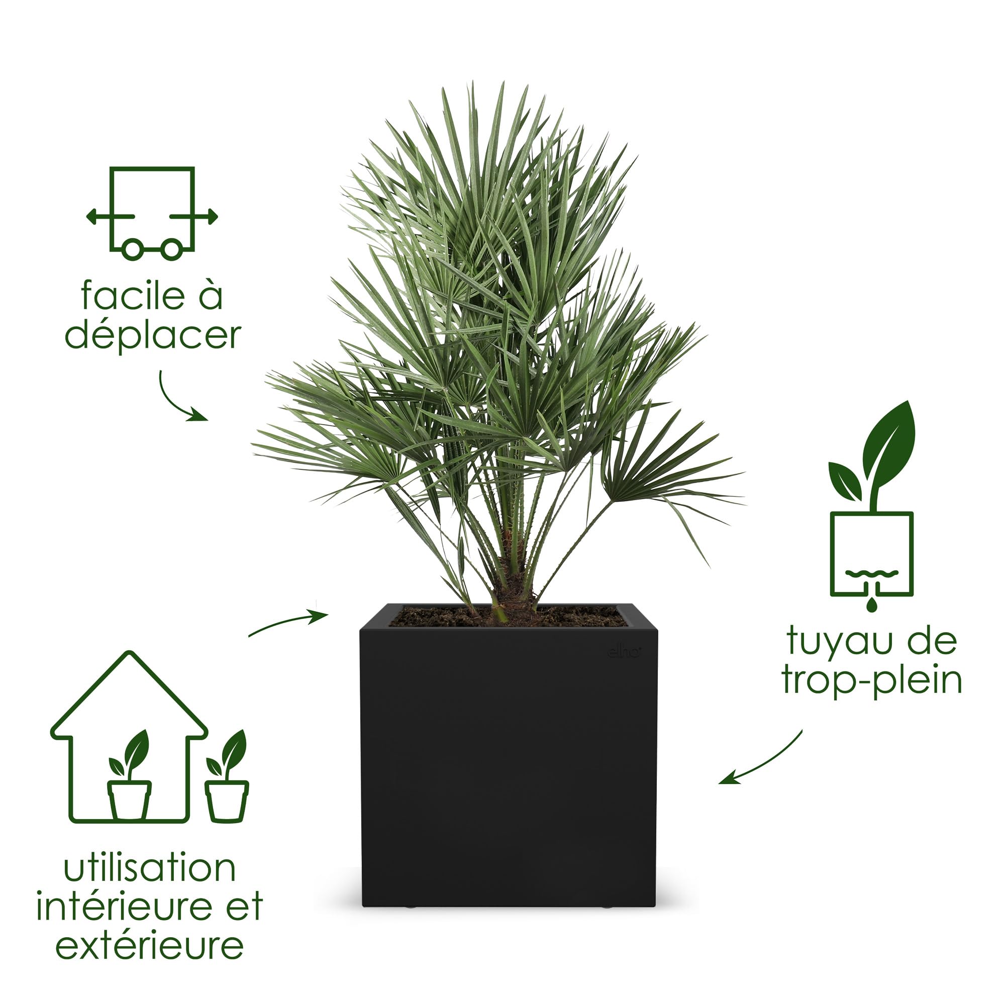 Elho Vivo Next Square 30cm Jardinière - Living Noir | L 29.5 x W 29.5 x H 29.5 cm | Convient pour une Utilisation Intérieure et Extérieure | Plastique 100% recyclé