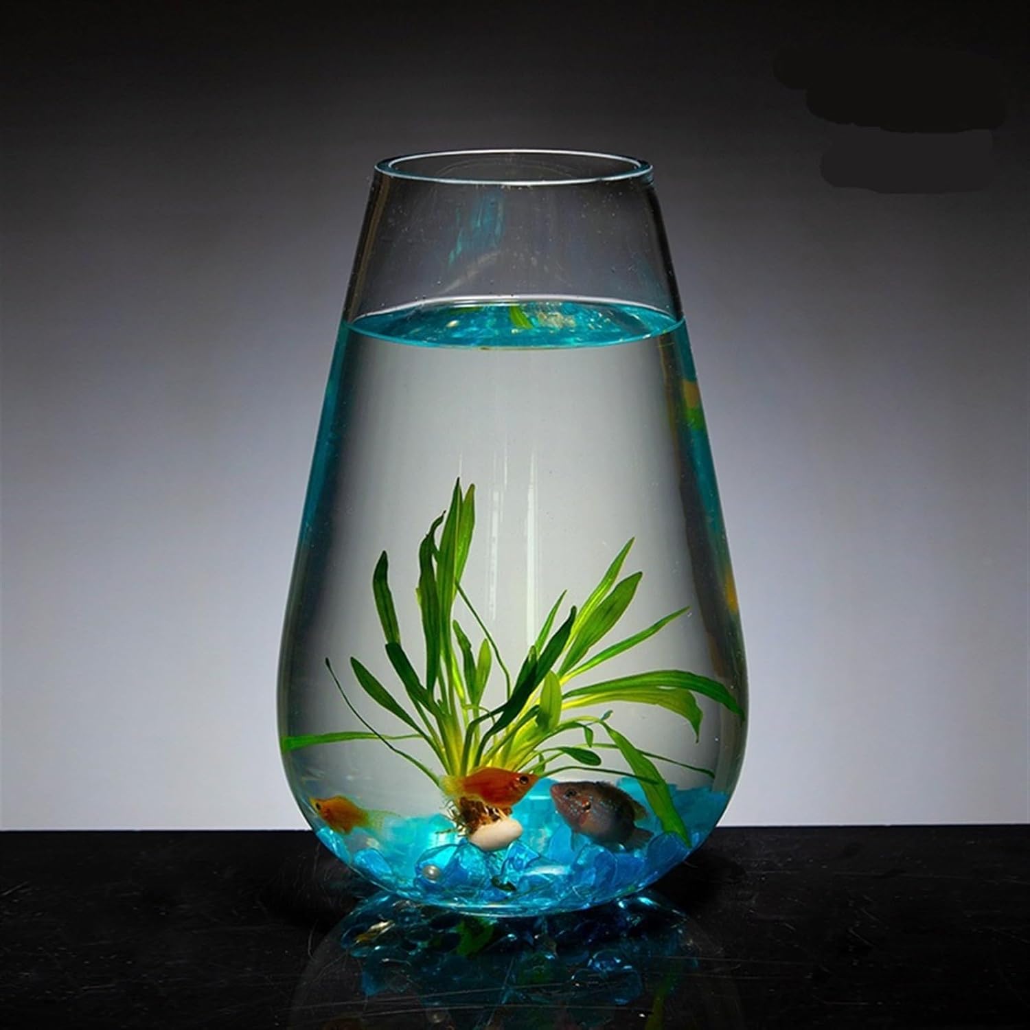 GRFIT Aquarium Large Glass Fish Tank Cylinder Desktop Fish Tank Small Aquarium Ornaments Clear Glass Desktop Vase Fish Aquarium