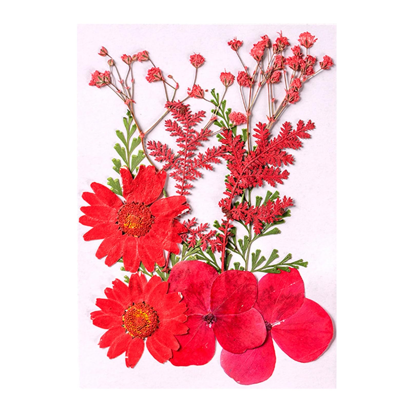 Hshduti Red 10 Pcs Dried Pressed Flowers For Resin, Real Pressed Flowers Dry Leaves Bulk Natural Herbs Kit For Scrapbooking Diy Art Crafts, Epoxy Resin Jewelry Molds, Candle, Soap Making, Nails Décor