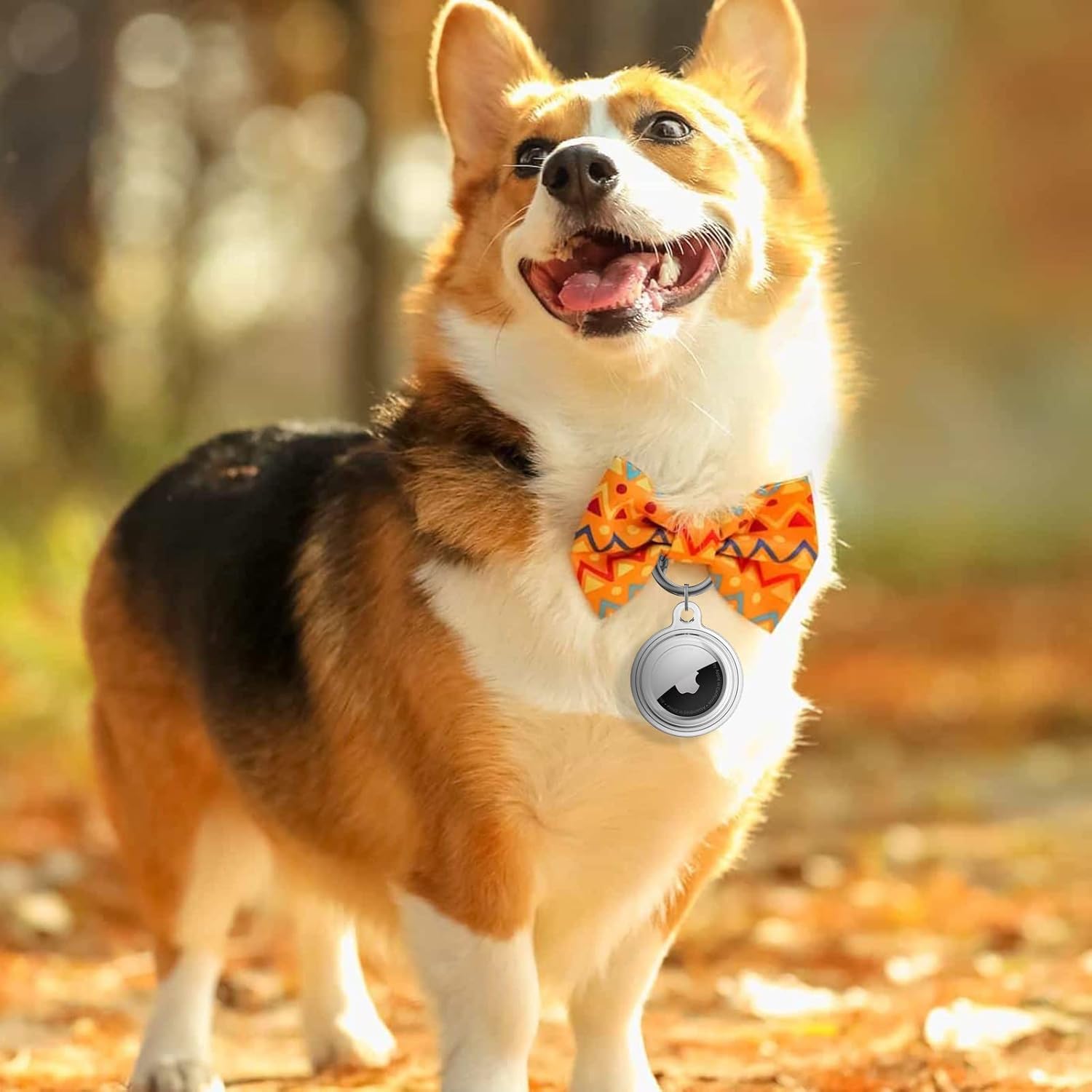 4 pack airtag holder keychain waterproof compatible with apple air tags holder case for dog collar keys luggage kids full protection2black 2clear