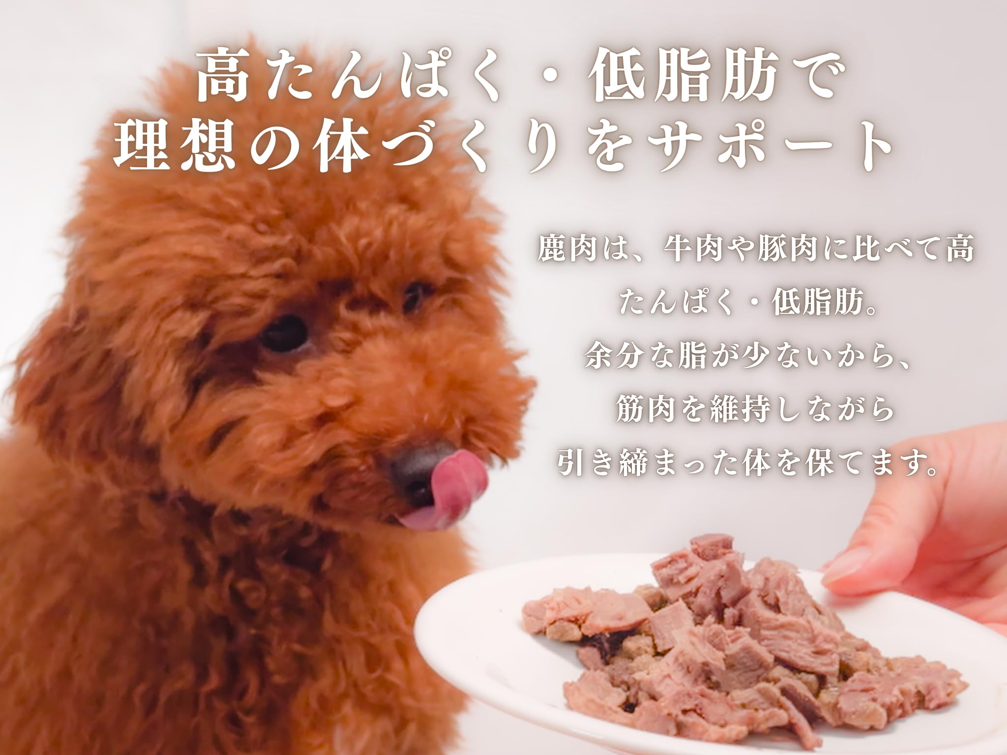 鹿肉　ペットフード9kg 真空冷凍　送料無料 Amazon.co.jp: Deer Life Dog 鹿肉シニア・健康セット 角切り 鹿肉