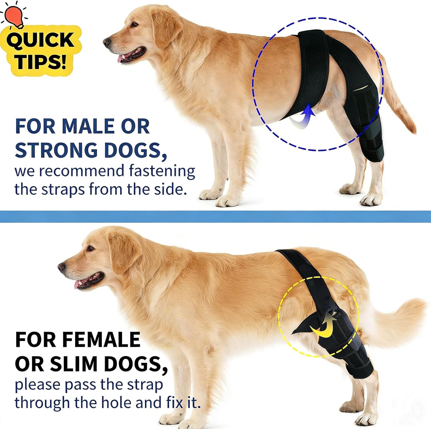 Dog Knee Support for Cruciate Injury – Flexible Stabilizer with Adjustable Straps, Breathable Neoprene, 4-Leg Universal Fit (Front/Hind, Left/Right), Ideal for Post-Op Healing (L)