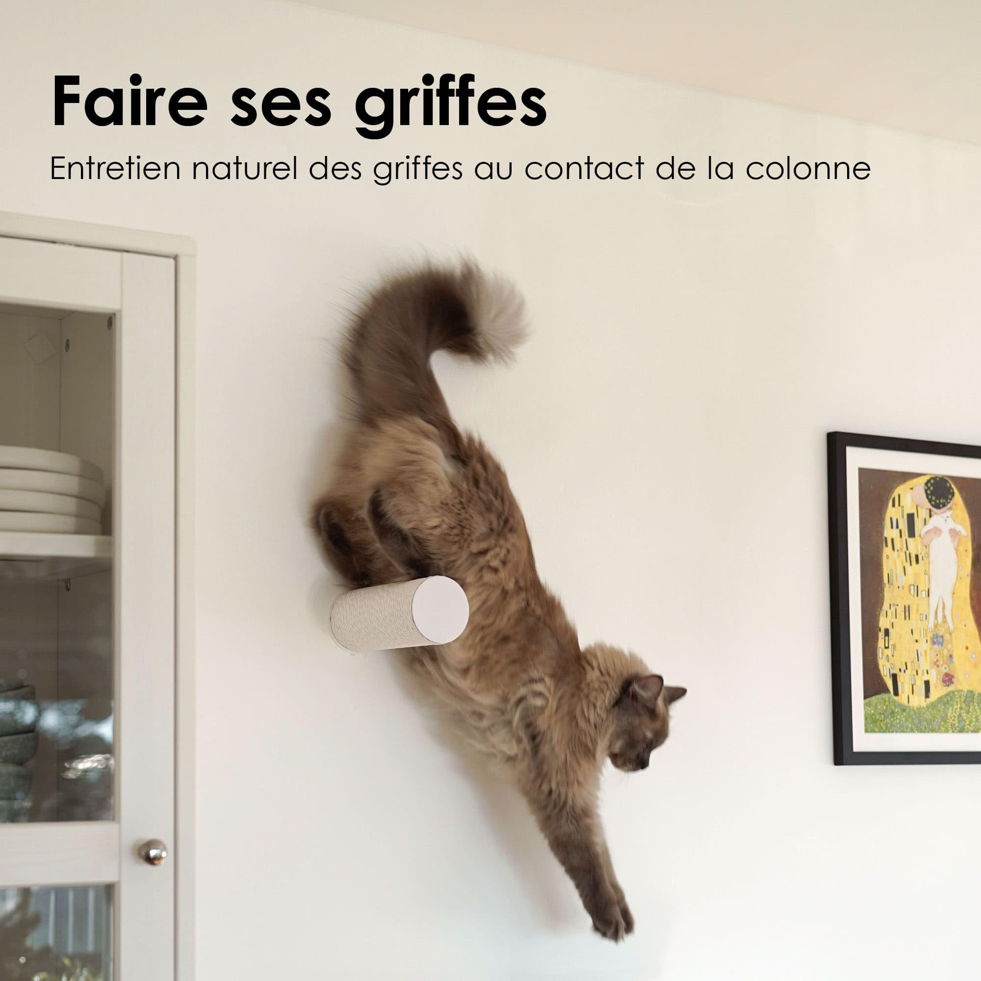 LucyBalu® Jumper Lite Tronc à griffer Mural Marche Escalade Corde Papier