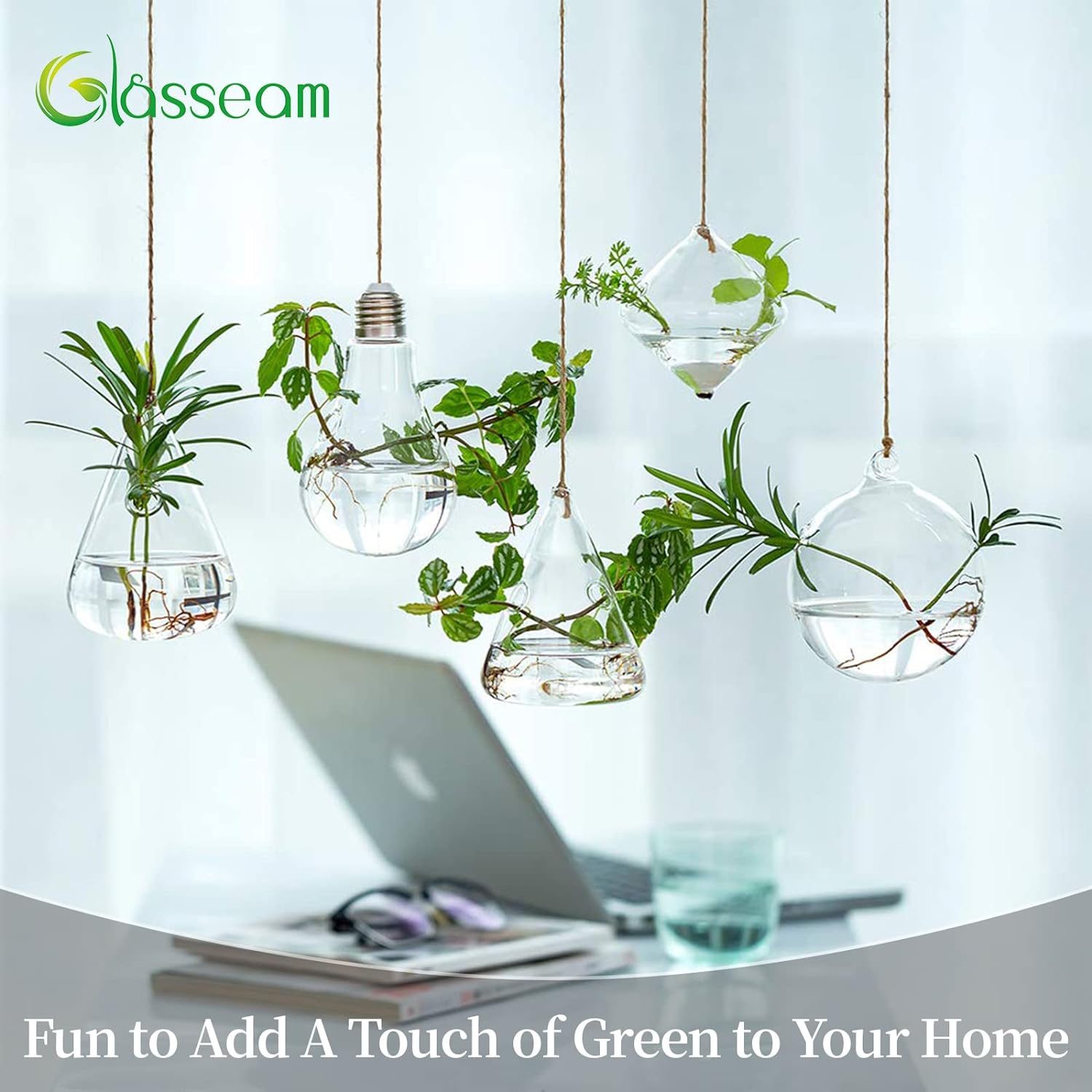 Glasseam Hanging Planters Glass Terrarium: 5Pcs Modern Plant Propagation Stations Hydroponic Wall Vases for Air Plants Flowers Indoor Window Home Decor - Image 2