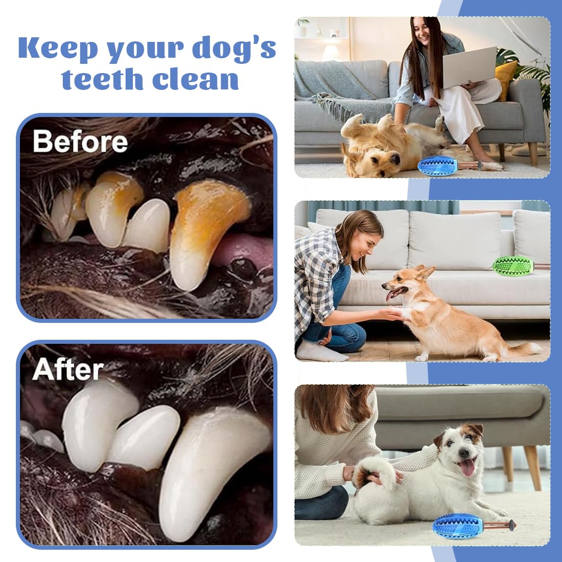Gioco Cani, Gioco di intelligenza, Giocattoli da Masticare per Cani Giocattoli, Bastoncino per La Pulizia dei Denti in Gomma Resistente, Ideale per la pulizia dei denti e cani di tutte le taglie