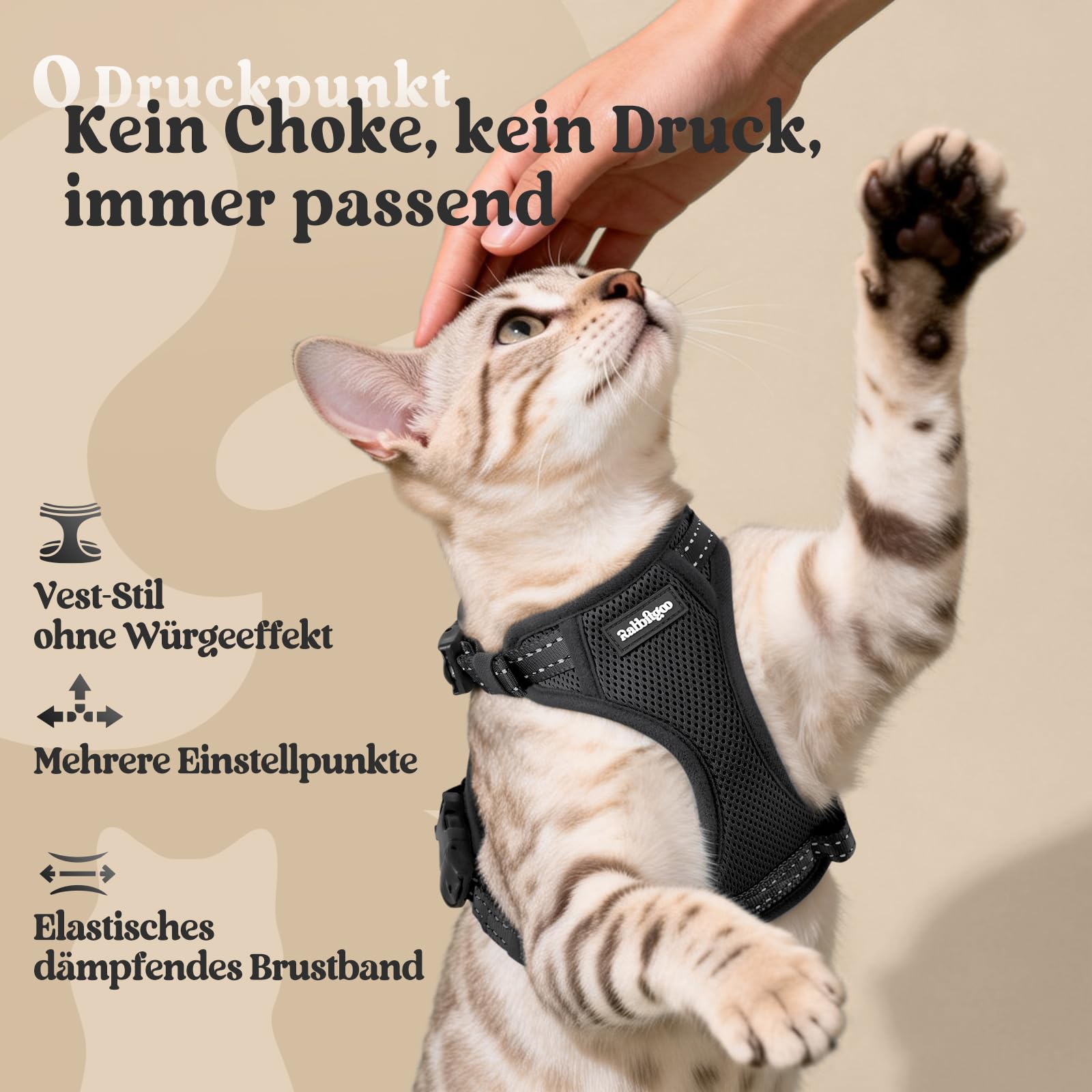 rabbitgoo Katzengeschirr mit Leine mit Hals-Klickverschluss, S, Schwarz | Kein Über-Kopf-Ziehen, Ausbruchsicher, Verriegelte Schnallen, Weiches Air-Mesh, Reflektierend, für Ausgewachsene Katzen