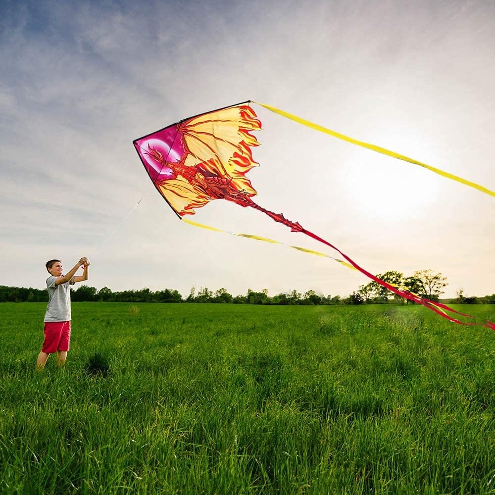Mint's Colorful Life Dragon Kite and Butterfly Kite for Kids Adults