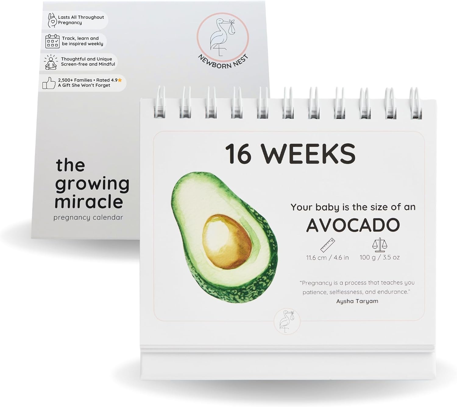 Pregnancy Calendar for Expecting Mothers - Weekly Baby Growth Tracker with Fruit & Vegetables, Quotes & Development Facts | 72-Page Flip Calendar | Pregnancy Gifts for First Time Parents