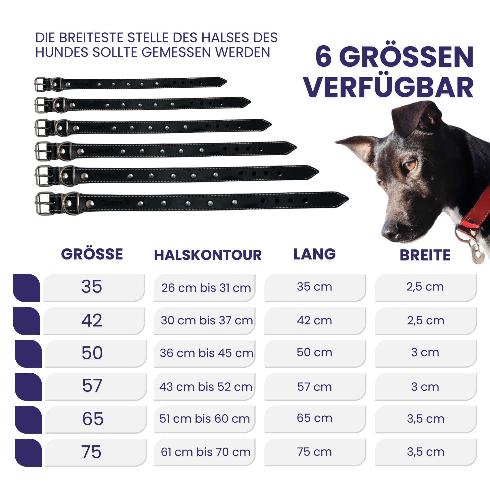 Hundehalsband Leder mit Schutznetz für Flohhalsband Hunde, Hundehalsband das schützt und die Lebensdauer des Zeckenhalsbands für Hunde verlänger