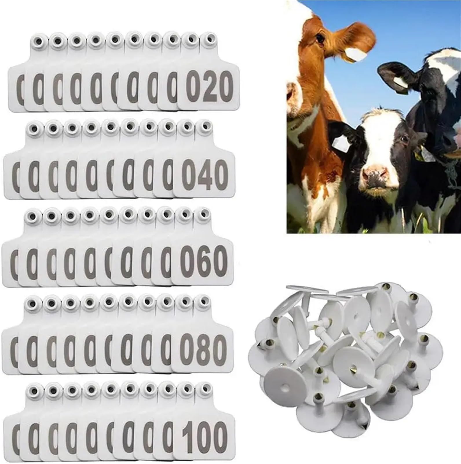 100 marcatori per orecchie bovina con 1-100 lettere per l'identificazione di aziende di allevamento, marcature fattorie, bestiame per la fattoria (F)