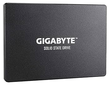 Amazon.com: GIGABYTE 2.5